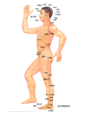 ���ͷ����촯�����ص�