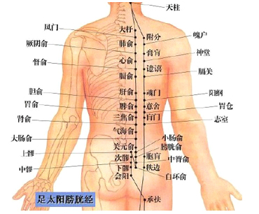 ���ǽ�ڲ��촯�����ص�