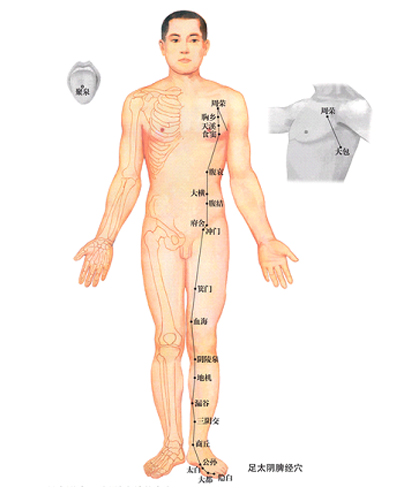 �踹Ӹ�����ص�