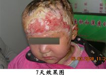 ��Ⱦ�������˵�ͼƬ