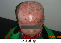 ��Ⱦ�������˵�ͼƬ