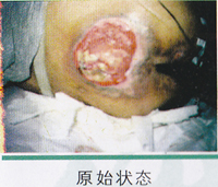 ��ɫ���ƾ޴��촯��ͼƬ