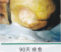 ��ɫ���ƾ޴��촯��ͼƬ