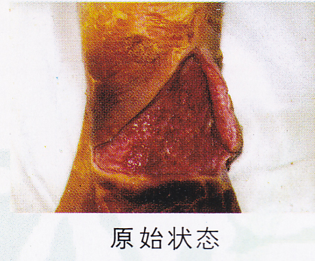 �˿ڲ����ϵ�ͼƬ