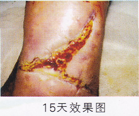 �˿ڲ����ϵ�ͼƬ