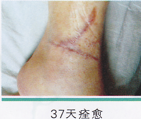 �˿ڲ����ϵ�ͼƬ